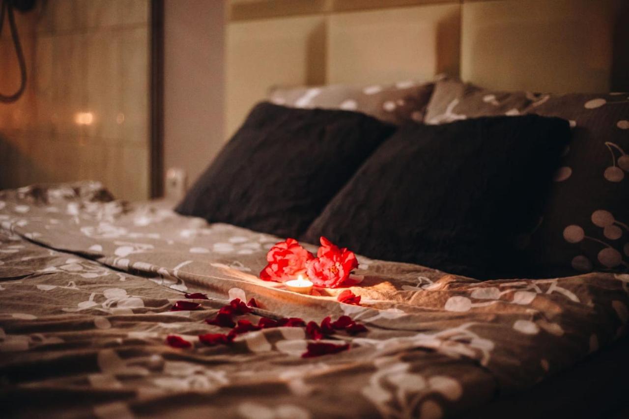 Intima Spa Apartmani بلغراد المظهر الخارجي الصورة