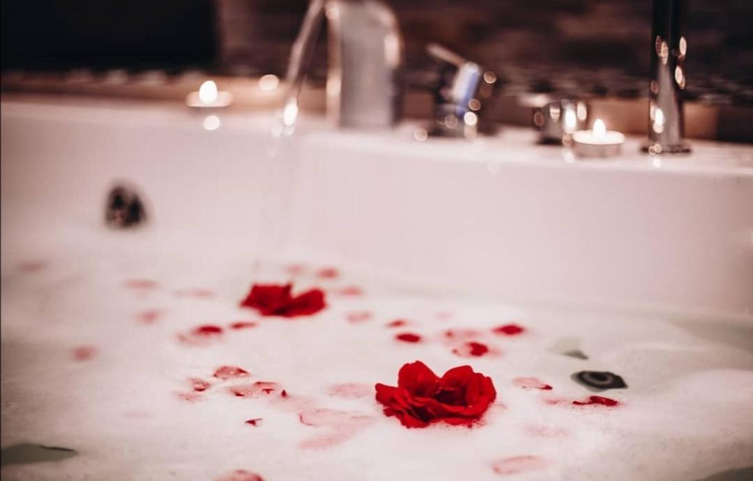 Intima Spa Apartmani بلغراد المظهر الخارجي الصورة